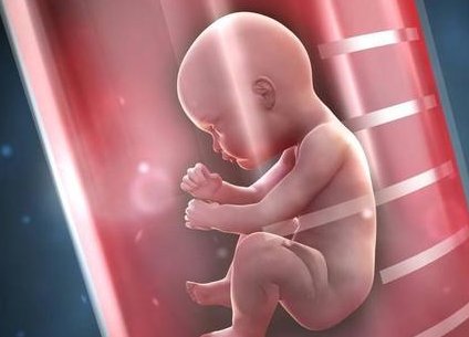 2026年河间市可以做试管婴儿的医院有哪些？费用纳入医保了吗？