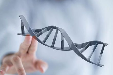 湖北荆州三大助孕公司是哪三家