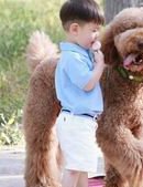 商丘公立医院试管婴儿价格很高吗？