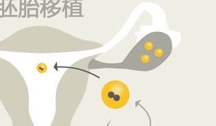 河南郑州试管最厉害三个机构一览，找对机构少踩坑